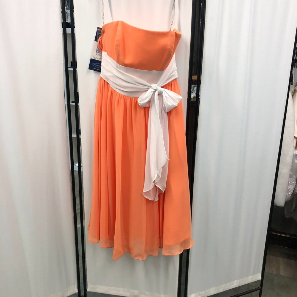 Size 2 Knee-Length Bridesmaid Tangerine Canteloupe Pumpkin Orange w white cummer